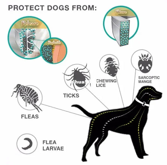 Long-Lasting Flea & Tick Collar for Dogs and Cats – Waterproof & Safe