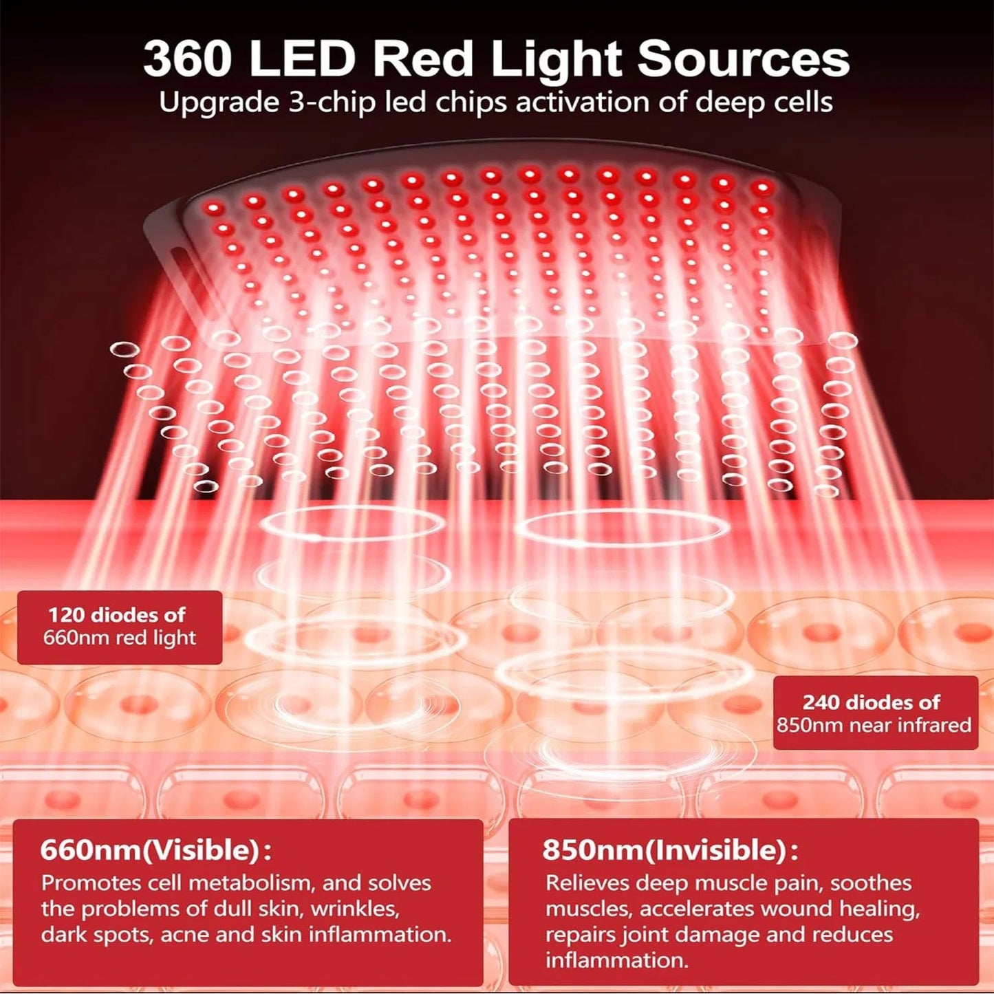 Red Light Therapy Belt for Pain Relief and Weight Loss