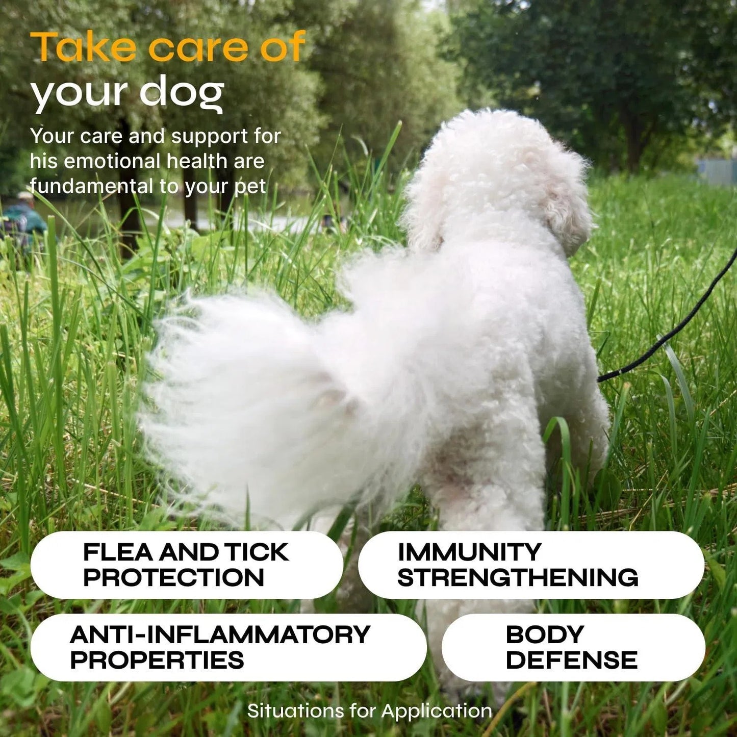 Fast-Acting Flea & Tick Pills For Dogs and Cats | Vet Approved | Soft Chews