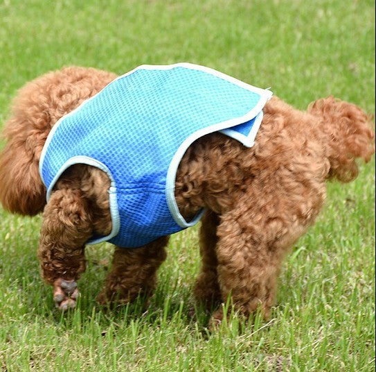 PVA Summer Dogs And Cats  Clothes Cooling Vest Pet Supplies