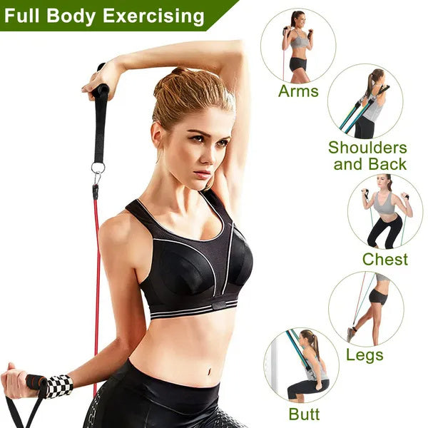 Woman exercising with resistance bands, highlighting different body parts.Resistance bands for total-body fitness routines